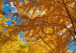 程慧娟：放大“闪光点” 开启新“赛程”