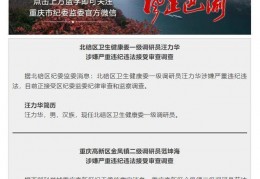 涉嫌严峻违纪违法，重庆市两名干部承受审查查询拜访:三星杯围棋赛最新动静