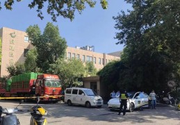 学生午餐虾仁炒蛋紧急停供？上海绿捷：系学校反馈虾仁里有细沙，非所有批次，将加强监管