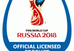 06年世界杯巴西队阵容