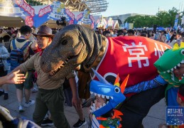 江苏省城市足球联赛丨常州队不敌徐州队