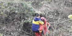 阿吉纳加:柳州男孩失联12小时，搜救犬“阿吉”1小时寻回！