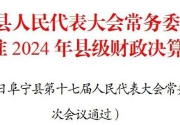 关于批准2024年县级财政决算的决议