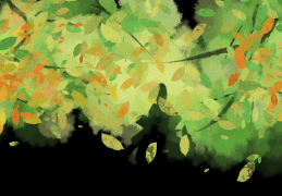 抓住最后观赏期！金秋花海新品种“波尔多红酒”、治愈“笑脸”…申工社×光明田原送游玩福利！